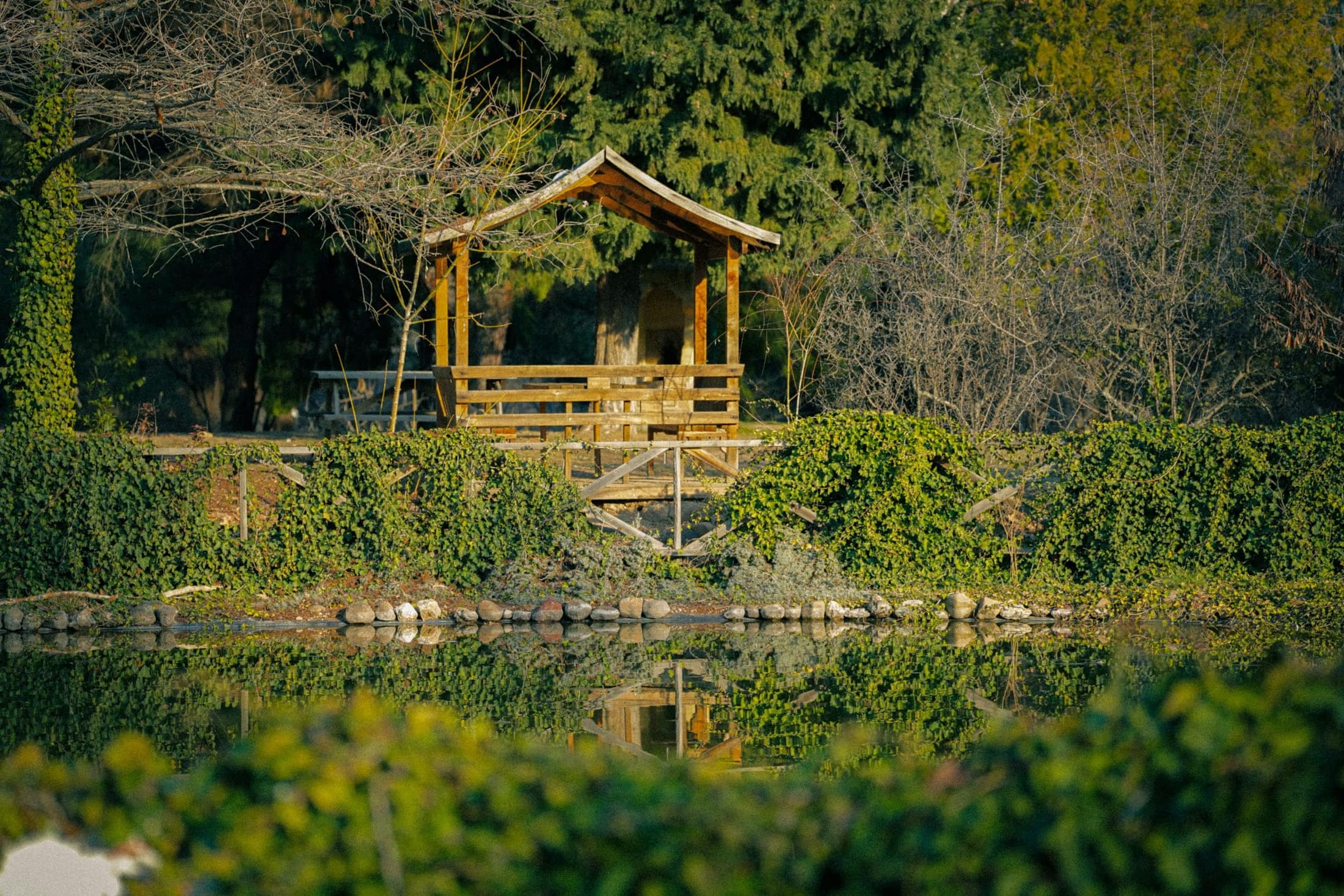 A white gazebo at the edge of a quiet pond framed by evergreens