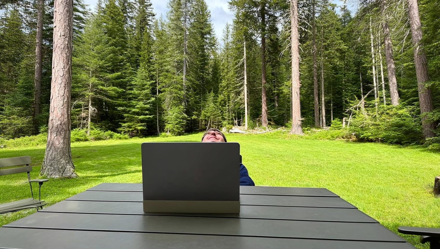 A guest with a laptop glancing up from a cabin porch table toward the forest lawn