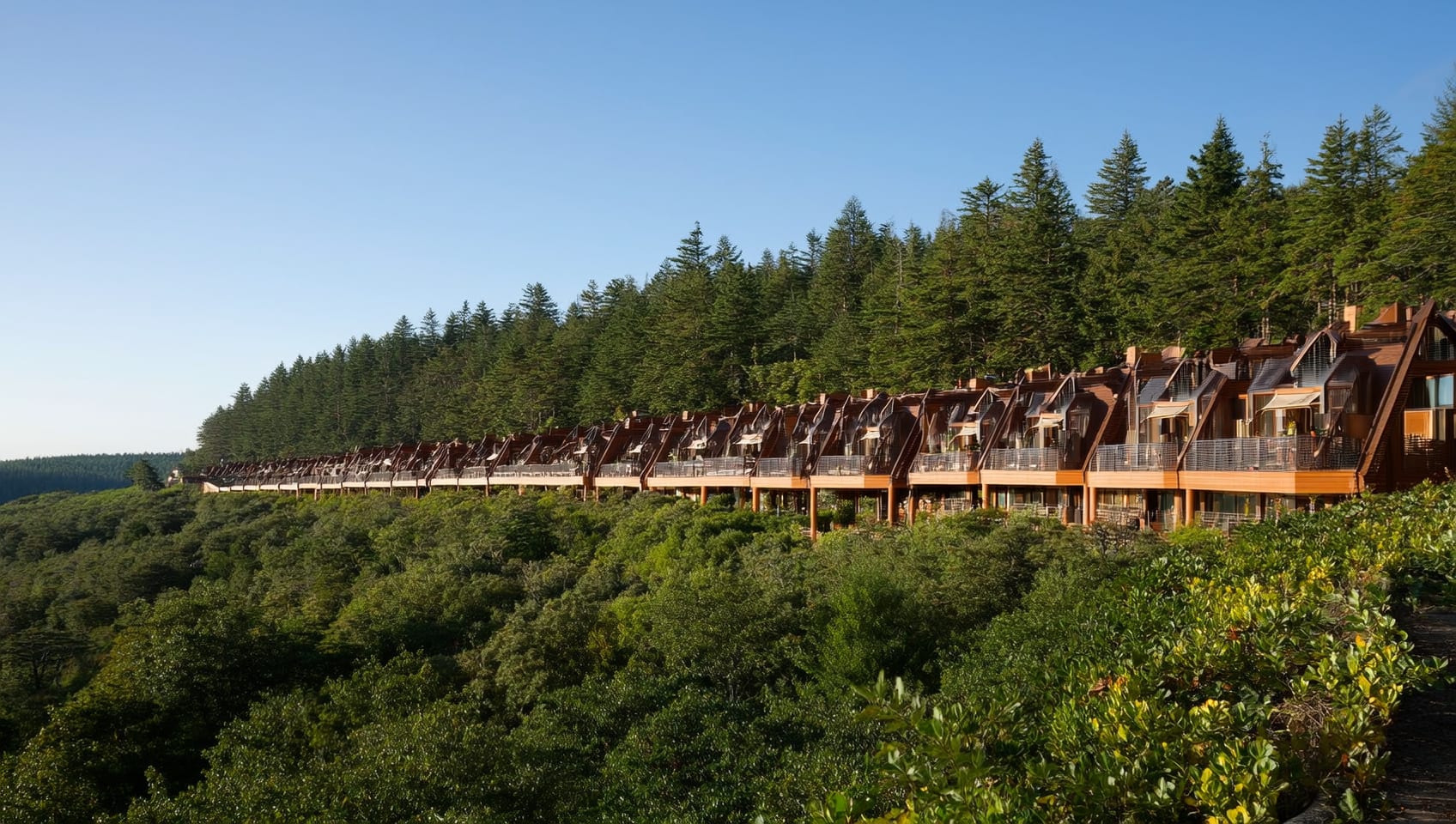 Row of guest cabins along the treeline at the JULY resort